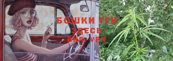 прущие грибы Семилуки