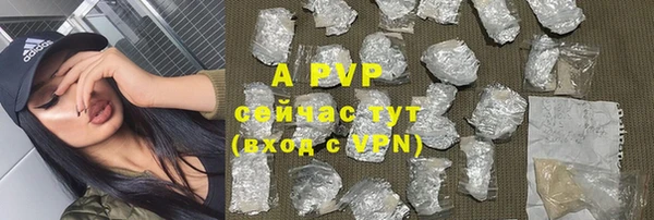 прущие грибы Семилуки